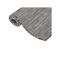 vidaxl tapis à tissage plat d'extérieur 80x250 cm marron et bleu