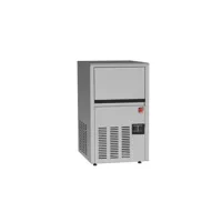 machine à glaçons inox avec refroidissement à air - 22 kg/24 h - virtus - r290 -  355x435x590mm
