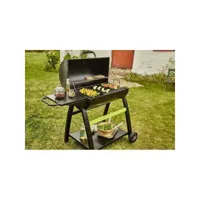 cook in garden barbecue
