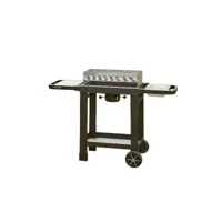 cook in garden barbecue charbon - easy 60